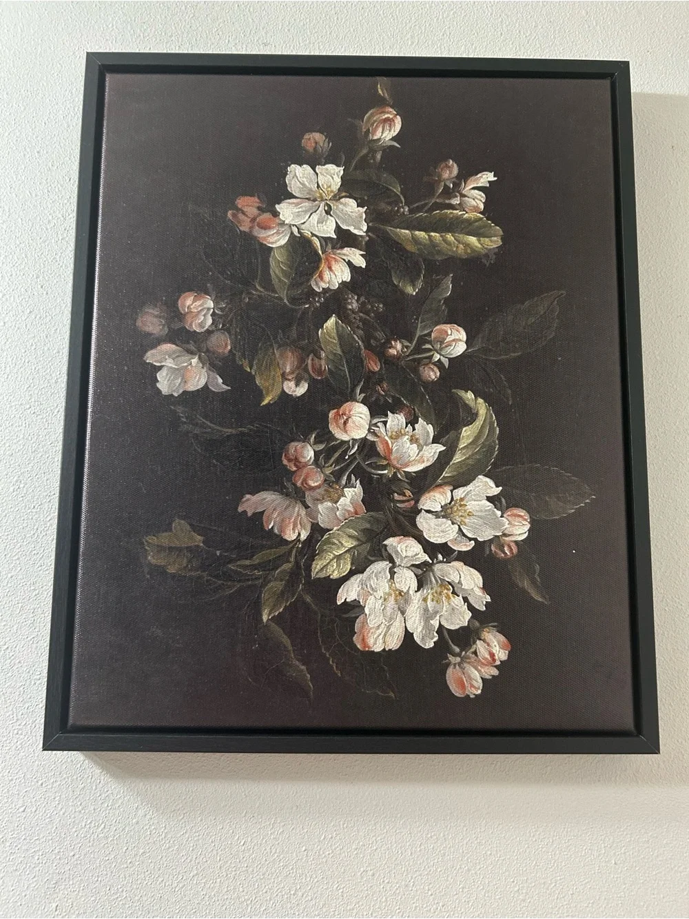Botanical Framed Canvas Wall Art Print Set of 2